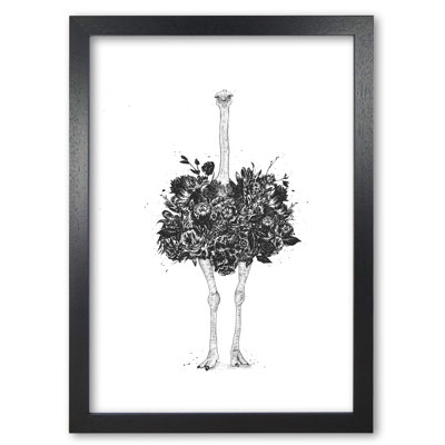 Floral Ostrich 1 Piece Wall Art