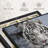 " Endangered White Tiger Canvas Print "-101457047