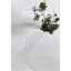 Celeste 6" x 12" Marble Look Subway Wall & Floor Tile