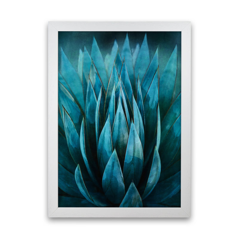 Blue Succulent - Print, 63cm H x 46cm W x 3cm D, White Framed