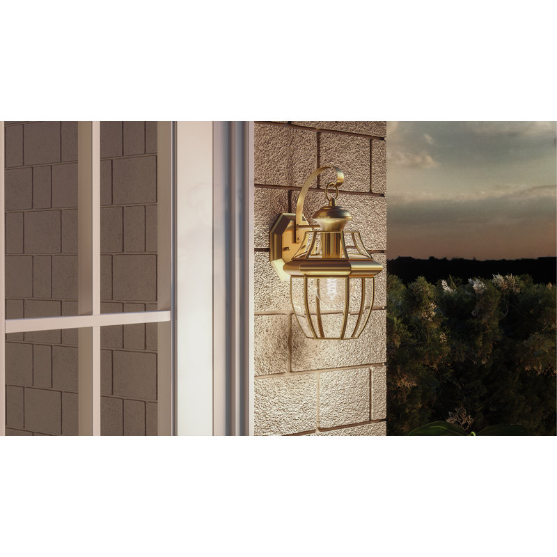 Lanterne murale d'extérieur biseautée Newbury, Laiton poli, l 8 po x H 14 po x P 8 po