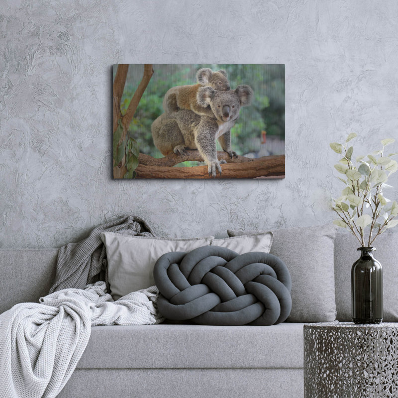 "Koala" par Luxe, H 24 po x l 36 po