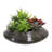 6 " H Faux Succulent Plant in Ceramic Pot-1520802209