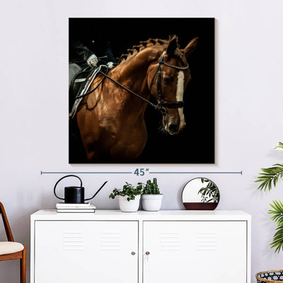Brampt Dressage Chestnut Horse