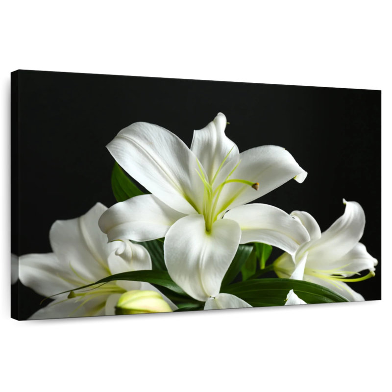 Lys blancs frais Harnek, H 32 po x l 48 po