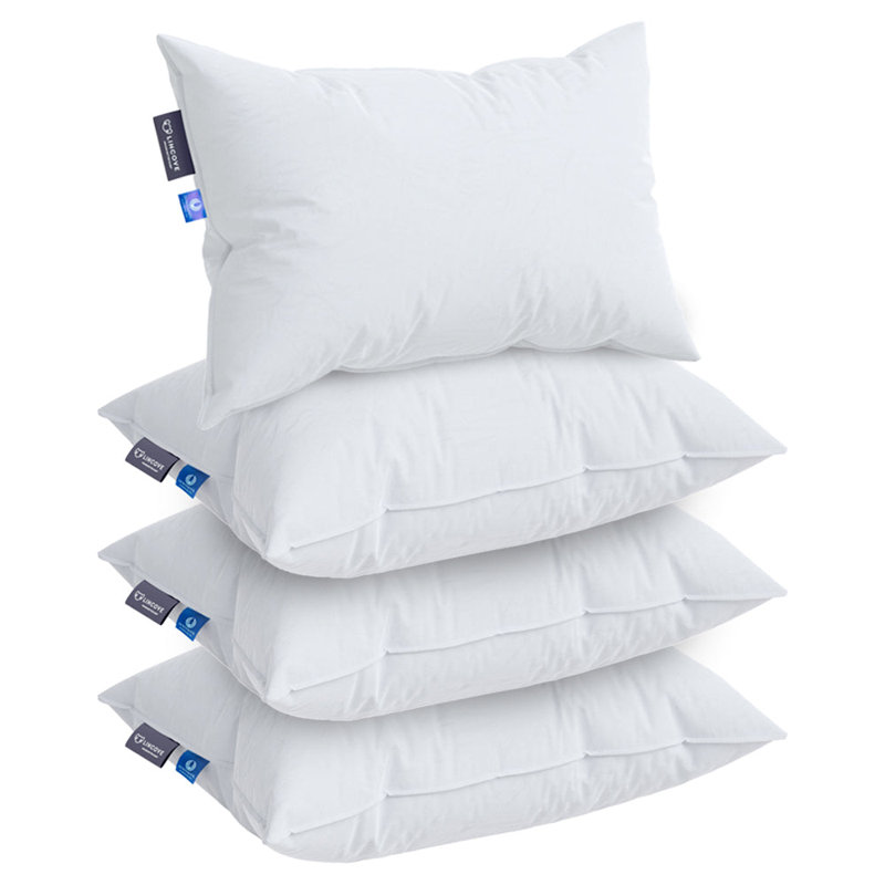Lincove Throw Pillow Insert - 4 Pack - 100% Cotton Shell, Down Alternative Fill, Hypoallergenic - Made in Canada