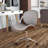 Sigler Task Chair-22494612
