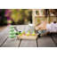 Greenhouse and Garden Dollhouse Furniture