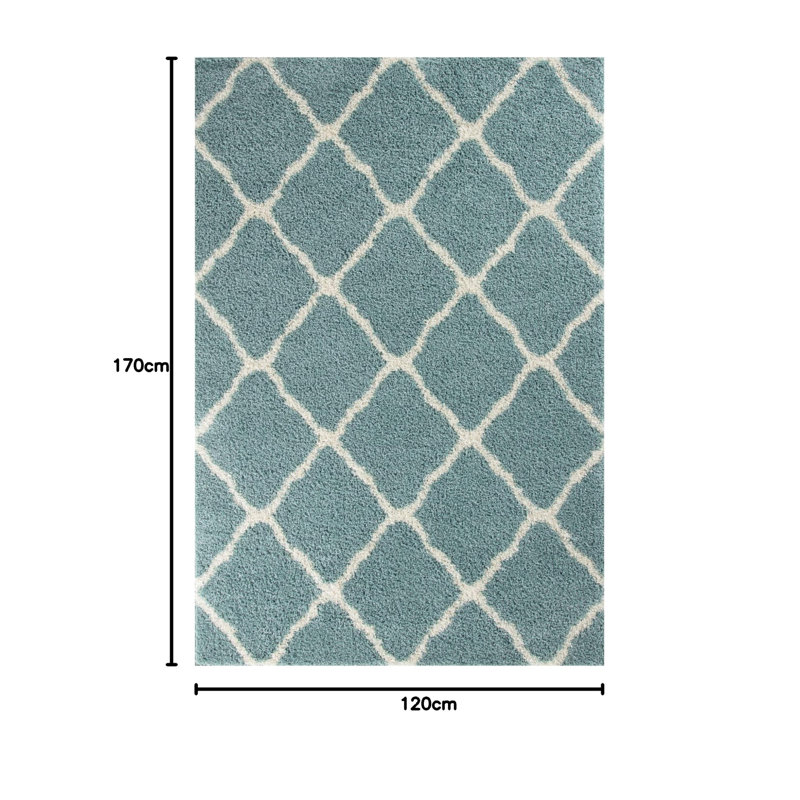 120cm X 170cm Area Rug