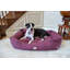 Panier de support pour chien-11097545-3847951
