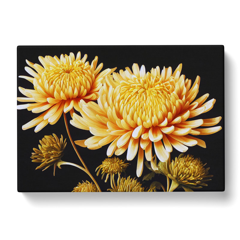 Astonishing Chrysanthemum Flowers - Wrapped Canvas, 35cm H x 50cm W x 3cm D