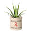 Pot de fleurs en céramique Middle Village-29366203