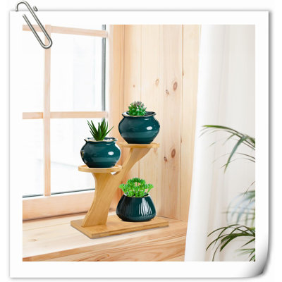 Bamboo Palaiseur by Latitude Run