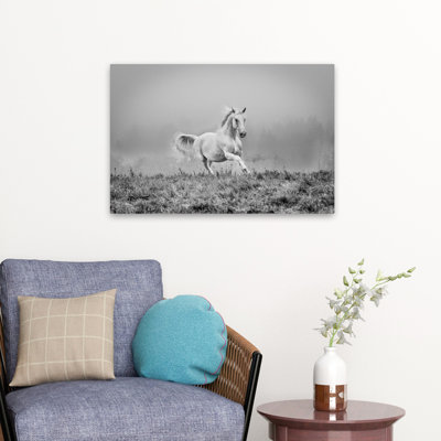 Ignacy - A Short Story About Gallop Landscape White Nature Photographie Cheval Art contemporain