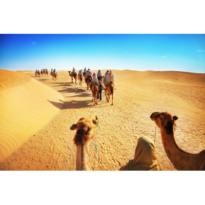 Touristes à dos de chameau