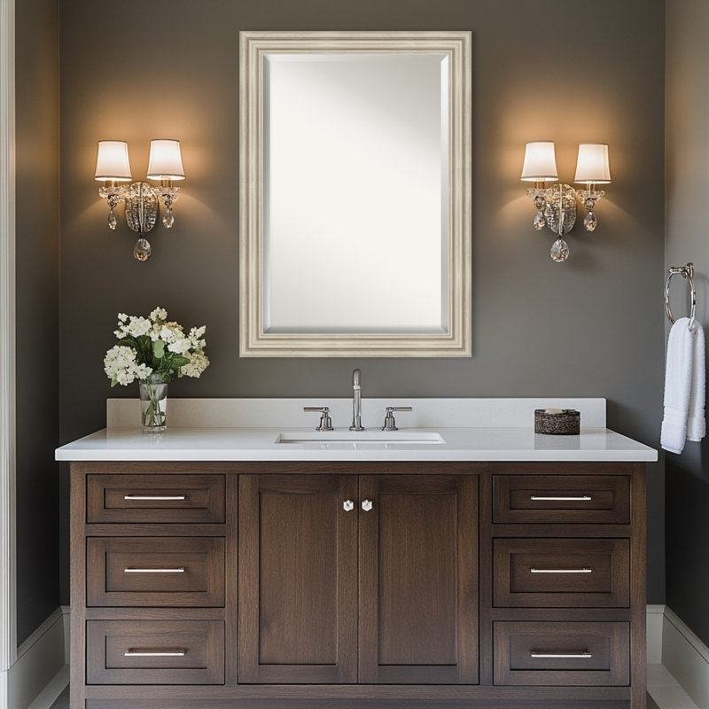 Miroir mural de salle de bain Sierra, 29,5 po x 23,5 po, Argent argent