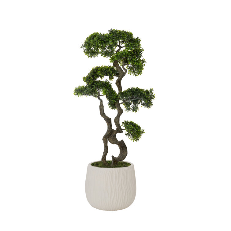 Artificial Bonsai Tree In A Shell Designed Fiberstone Planter