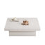 Coffee Table with Storage