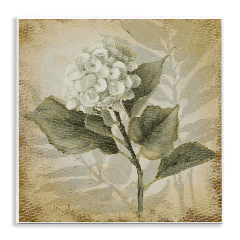 «Aubergine Hydrangea», impression sur plaque par Lanie Loreth