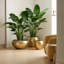 Faux Bird Of Paradise Plant in Pot Liner