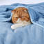 Couvertures douillettes et douillettes pour lit, canapé, canapé, voyage, camping-105628033-105628043