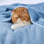 Couvertures douillettes et douillettes pour lit, canapé, canapé, voyage, camping-110438726-105628043