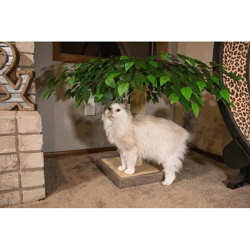Daniqua Scratching Post