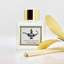 Temps San Fin Diffuser