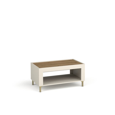 Olawale Four Leg Coffee Table with Storage