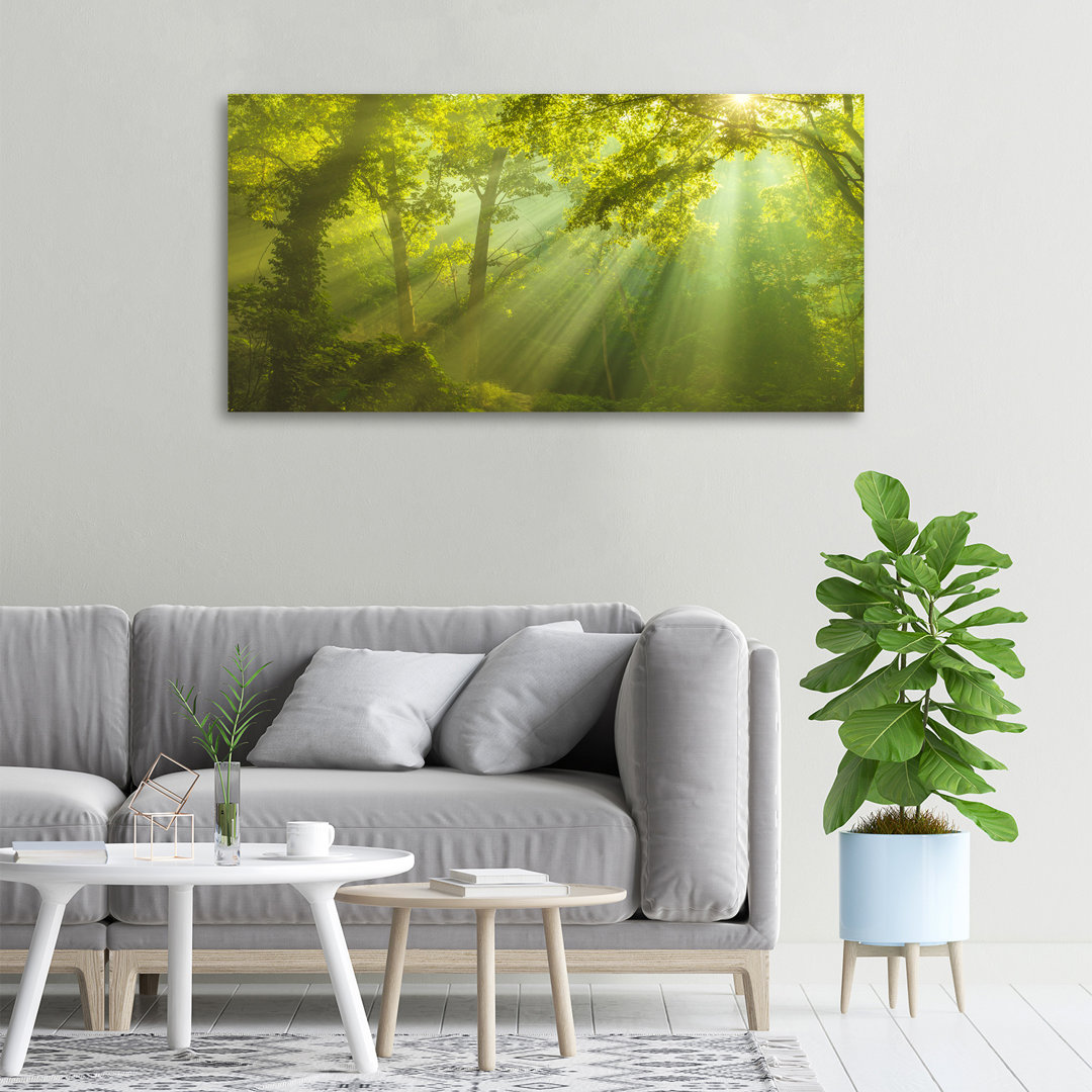 Wald in der Sonne - Kunstdrucke auf Leinwand - Wrapped Canvas