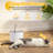 2.2L Automatic Cat Water Fountain - 73oz
