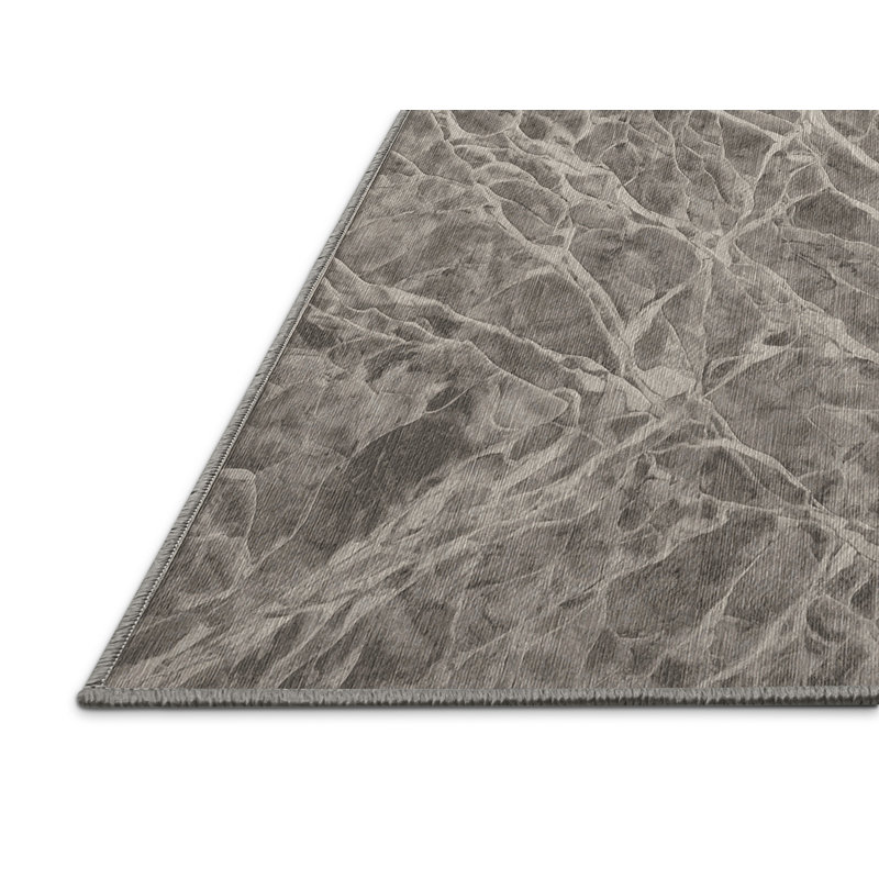 Machine Washable Gray Area Rug, Rectangle 6' x 9'