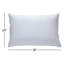 Oreiller nu en duvet d'oie-1360266739