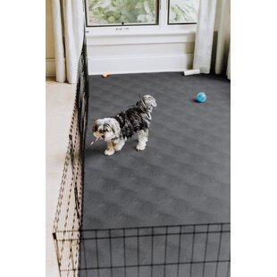 P-Tex Dog Crate Hard Floor Protection Mat, Clear Polycarbonate