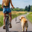 Foldable Pet Stroller Accessory