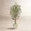 60'' Faux Olive Tree Tree in Planter