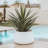 Camelia Series Modern Planter 24"