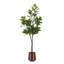 Figuier en figuier avec pot Portell-840316664-840316643