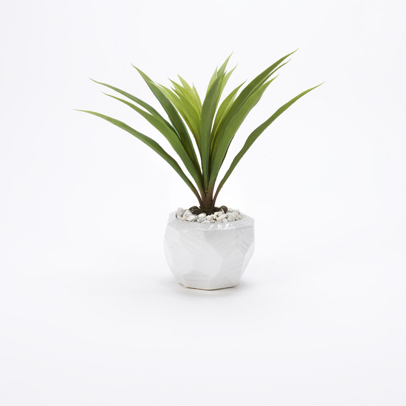 Herbe verte dans un bol en céramique