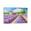 House With Blue Shutters In Provence by Jean-Marc Janiaczyk - Gallery-Wrapped Canvas Giclée on Canvas-512636789-512636779