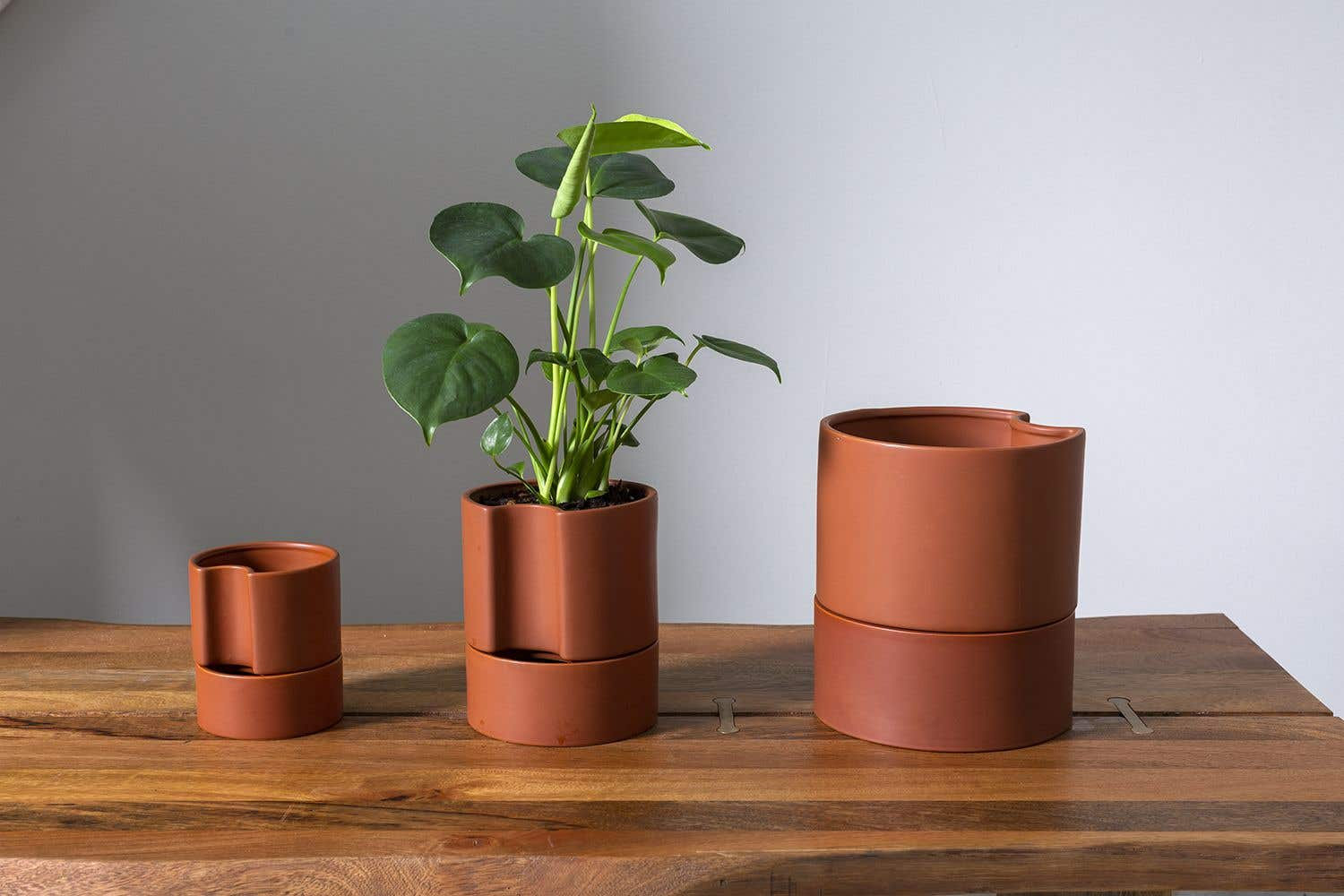 Patti Handmade Ceramic Pot Planter, Black, 9" H x 8" W x 8" D