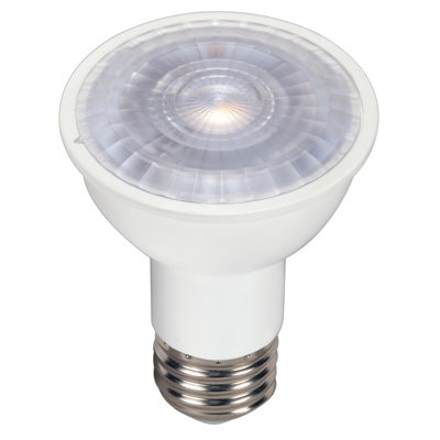 Clear LED Bulb