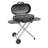 Coleman Portable Liquid Propane Grill