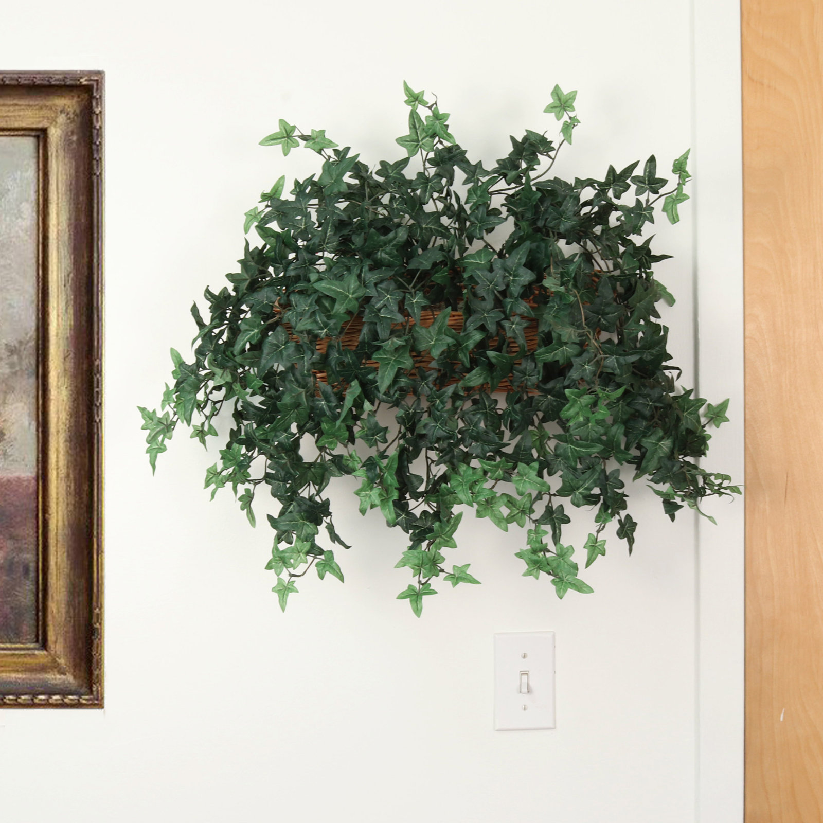 20" Ivy Plant, 4