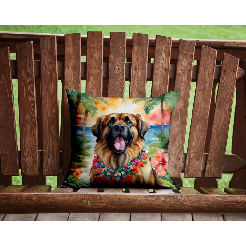 Other/No Pattern Outdoor Throw Pillow, 14" H x 14" W