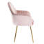 Taraji 46cm H Velvet Upholstered Metal Armchair-105634516-22261463
