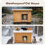 Maison de chat jaune-1672560296