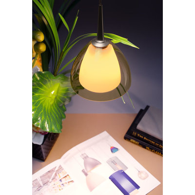 Luminaire suspendu en forme de dôme à 1 lumière Rainbow