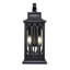 Applique murale d'extérieur 2 lumières Beachwood Birch Lane Edan