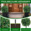 Arrangement